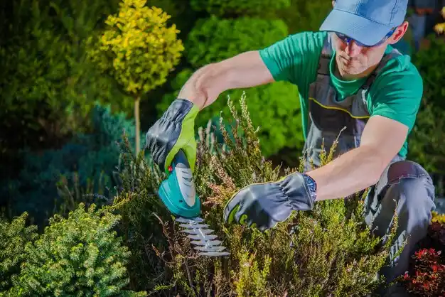 landscaping services Elsberry